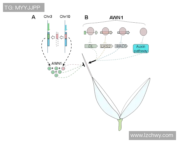 五年数据进化全面揭示球星绯闻轨迹与幕后真相 五年数据进化全面揭示球星绯闻轨迹与幕后真相