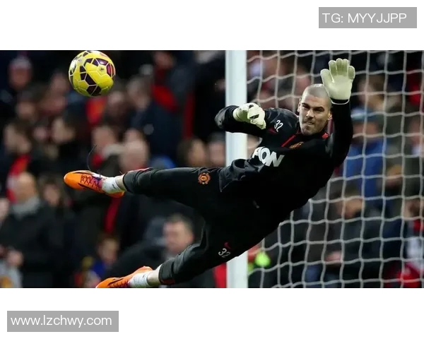 世界第一门将为何遭弃用真相揭露背后隐藏的内幕与原因